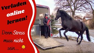 🐴 GratisVerladevideos  jetzt anmelden 😍💪🏻 [upl. by Glogau]