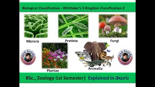 Biological Classification  Whittaker’s 5 Kingdom Classification2 BSc Zoology1st Semester [upl. by Libb208]