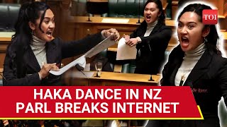 High Haka Drama In New Zealand Parliament Woman MP Tears Controversial Bill Leads Stir [upl. by Kelly952]