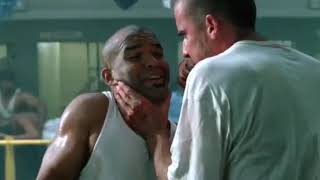 Prison Break  Lincoln Burrows Fight Scenes [upl. by Laufer850]