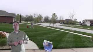 How Much Fertilizer Do I Put On The Lawn [upl. by Corey359]