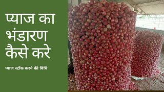 प्याज स्टॉक करने की विधि  प्याज भंडारण का तरीका How to store onion  Storage of onion 2022 [upl. by Eciuqram957]