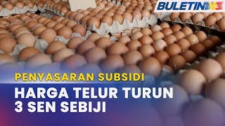 PENYASARAN SUBSIDI  Harga Telur Ayam Gred A B C Turun 3 Sen Sebiji Mulai Hari Ini [upl. by Ahidam]