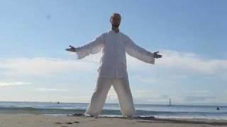 Heaven amp Earth Qigong [upl. by Esirtal]