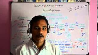 Biochemistrycarbohydratesmetabolism 5 Tamil [upl. by Chatterjee677]