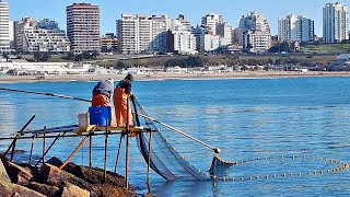 LA PESCA MENOS PENSADA ENTRE quotBALLENAS Y CORNALITOSquot [upl. by Nonnac]