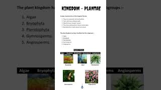 KINGDOM  PLANTAE [upl. by Tessi]