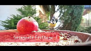 Gesegnete Festtage [upl. by Glassco]