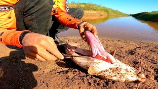 VEJA O QUE ENCONTRAMOS DENTRO DESSE BAGRE AFRICANO Ã‰ POR ISSO QUE OS PEIXES ESTÃƒO TUDO ACABANDO [upl. by Rosalind]