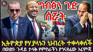 ግብፅን ጉድ ሰሯት  ኢትዮጵያ የሃያላኑን ህብረት ተቀላቀለች  በወደቡ ጉዳይ ታላቅ የምስራችን ያጎናጸፈው እርምጃ [upl. by Ignacia591]