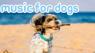 Soothing Music to Relax My Dog 20 HOURS No Ads [upl. by Hay]