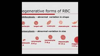 Anisocytosis  Symptoms and Causes  Diagnosis  Treatment  Prevention healthcare [upl. by Aikcir145]