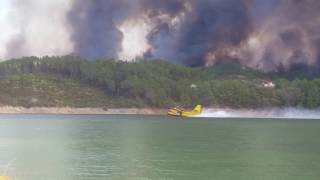 Abastecimento dos Canadair na Albufeira de Castelo de Bode [upl. by Mcgaw]