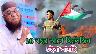 14 বছর আগে ফিলিস্তিনের জমিন চইষা আসছি নজরুল ইসলাম কাসেমী নতুন ওয়াজnazrul Islam Kasemi new waz2024 [upl. by Veronika105]