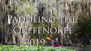 Paddling the Okefenokee Swamp 2019 [upl. by Livvyy]