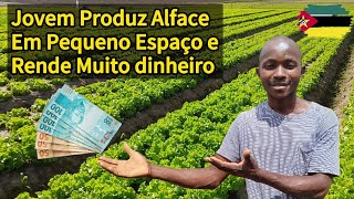 Jovem Produz Alface em Um Pequeno Quintal e Rende Muito Dinheiro [upl. by Iniffit]