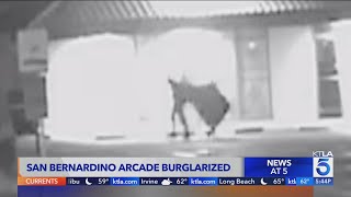 Burglars hit San Bernardino arcade owner says losses cost 10K [upl. by Aneeles]