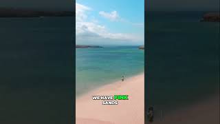 Discover Pink Sands Beach A Bahamian Paradise [upl. by Grew]