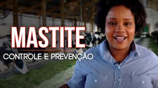 MASTITE BOVINA  CONTROLE E PREVENÇÃO  RUMINANDO [upl. by Michaella]