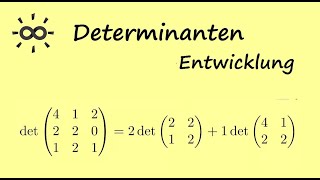 Determinanten  Teil 4  Entwicklungssatz von Laplace  Beispielrechnung [upl. by Ladnik]