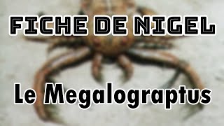 FDN 1  Le Megalograptus [upl. by Nac]