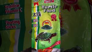 How to care red ear slider turtle  2 month red ear slider turtle shorts sorts redearedslider [upl. by Hiller]