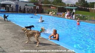 Slotweekend Zwembad Middelstum 2016 [upl. by Aizitel794]