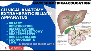 Clinical anatomy of GALLBLADDER and EXTRAHEPATIC BILIARY APPARATUS  ayeshamedicaleducation [upl. by Osher]