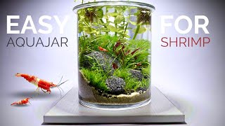 Easy Planted Aquajar for shrimp anyone can build [upl. by Enrique414]