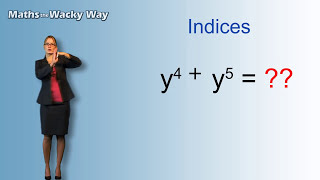 Maths the Wacky Way  Indices [upl. by Adianes5]