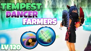 Farmers Build Lv120 Tempest Dancer  Toram Online indonesia [upl. by Anahs917]