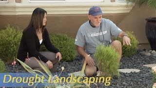 Growing California video series Drought Landscaping [upl. by Hurlee833]