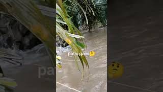 Banjir menjadi berkah [upl. by Omsoc795]