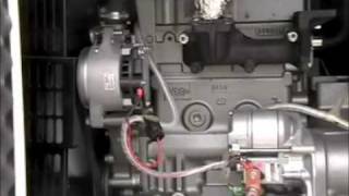 14KW Yanmar Diesel Generator [upl. by Yhtomot]