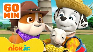 PAW Patrol Pups Save the Farm amp More Rescues 🐮 w Marshall and Rubble  1 Hour  Nick Jr [upl. by Nedac565]