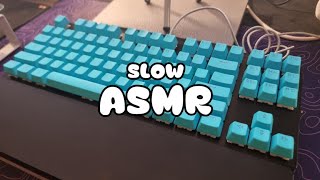 【SLOW ASMR】 SmartDuck XS87⌨️  SPSTAR Polaris Gray  Keyboard Typing ASMR  No ADs No Talking😴 [upl. by Ver827]