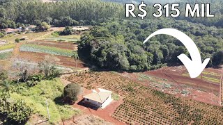 INDISPONÍVEL CHÁCARA TERRA ROXA CASA E CAFÉ RICA EM ÁGUA R 315 MILCódigo2189 [upl. by Kaden]