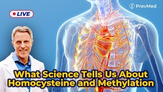 What science tells us about Homocysteine amp Methylation LIVE [upl. by Krein]