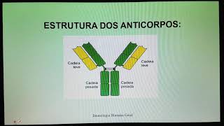 IMUNOLOGIA Anticorpos parte 1 [upl. by Humo884]