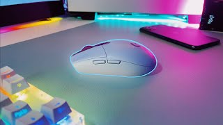 Logitech G305 Lightspeed Wireless Gaming Mouse 6 Month Review [upl. by Lalise]