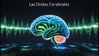 Ondas Cerebrales Tipos Frecuencia y su Impacto en la Mente y el Cuerpo [upl. by Jecoa]