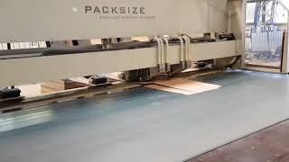 Packsize EM650 4 MT Cartoning machine [upl. by Hserus866]