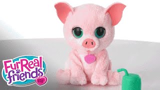 FurReal Friends Robotic Pet  Patootie Piggy Demo  Hasbro [upl. by Madden]