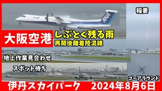 【伊丹空港】ゲリラ雷雨接近・通過で大荒れ混乱をウォッチ A350が沖縄にむけて出発出来ず2時間以上遅れ… 2024年8月6日 [upl. by Jillane]