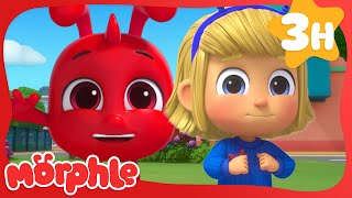 Baby Morphles Hide and Seek 🙈  Fun Animal Cartoons  MorphleTV  Learning for Kids [upl. by Prowel36]