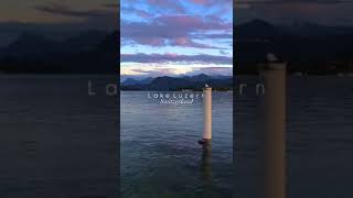 Lake Luzern switzerland luzern laketrendinganimalsbiology shorts shortvideo nature beauty [upl. by Shira203]