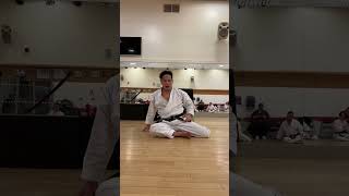 The Power of Do Mawashi Kaiten Geri Kyokushin Wheel Kick  胴廻し回転蹴り [upl. by Nnaylime]