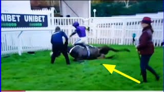 Cheltenham Tragedy 🏇 Buffalo Soldiers Horse Dies After Winning Race 💔 [upl. by Namzed]