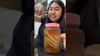 Hotel SCOBY digusur 😭 kasian bangett 🦠 bakteri kombucha [upl. by Kelcie]