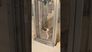 Square Home Elevators The SECRET to Effortless Living [upl. by Calmas]